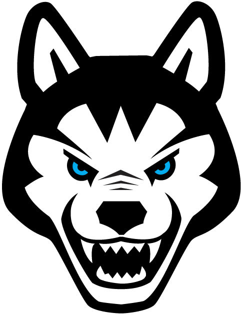 Northeastern Huskies 2001-2006 Alternate Logo t shirts DIY iron ons